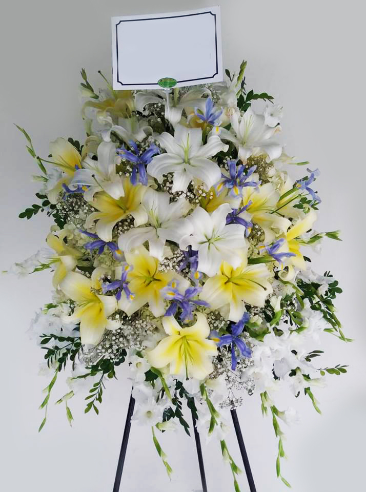 46173969_328141321304300_2404816055194091520_n