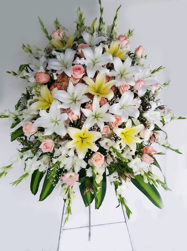 46176160_256504535014455_6355692372692566016_n