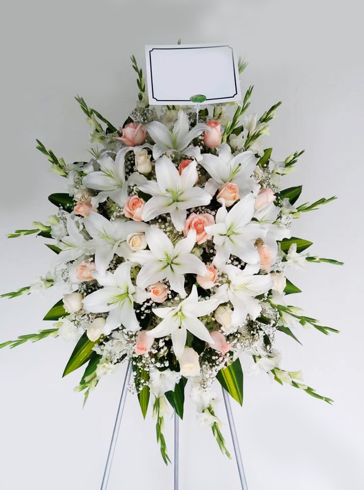 46195144_354583508637376_8767979721066545152_n