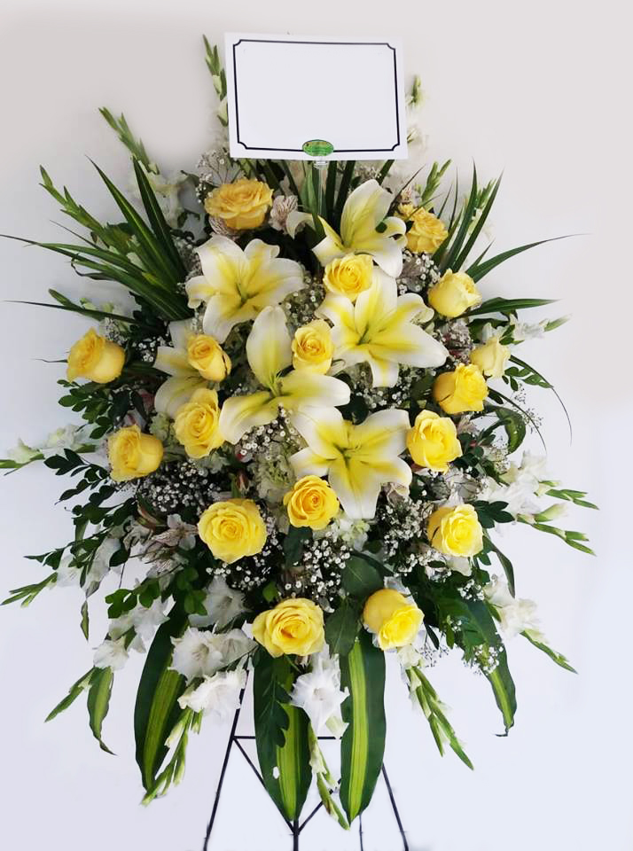 46268078_709034582814309_4084636141855178752_n-5