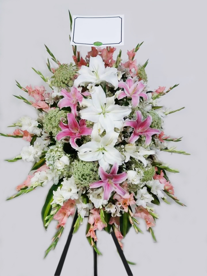 46736773_179746356309424_6432526146457305088_n-2