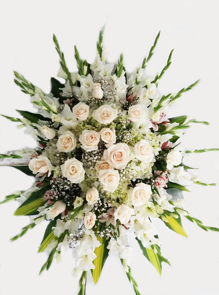 47689530_207571970119280_2666260021695741952_n