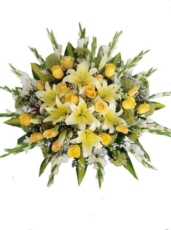 51446916_1997102310596351_6800931695030697984_n