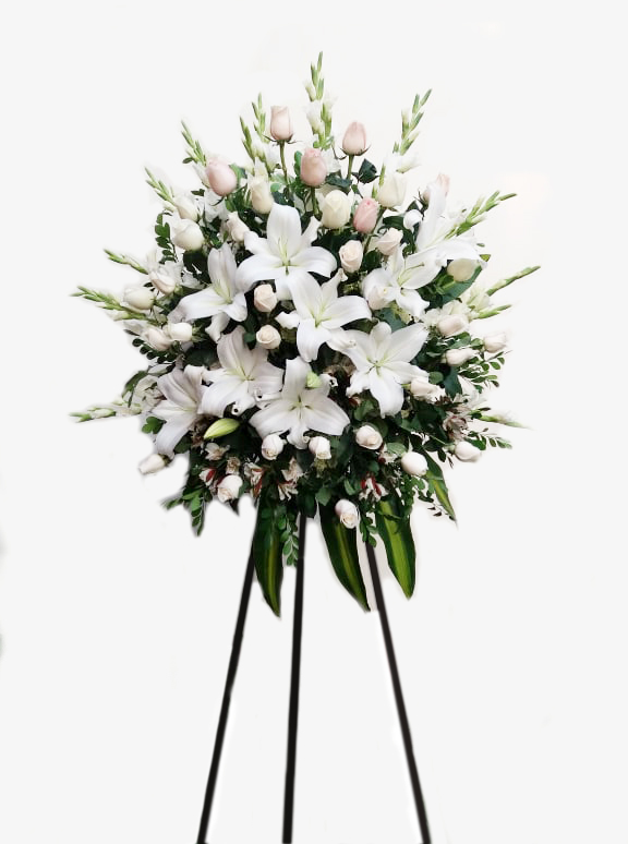 52713780_536973740144462_8897269017044058112_n