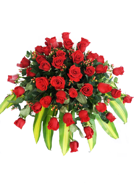 56866410_268441497241595_8867900893962436608_n