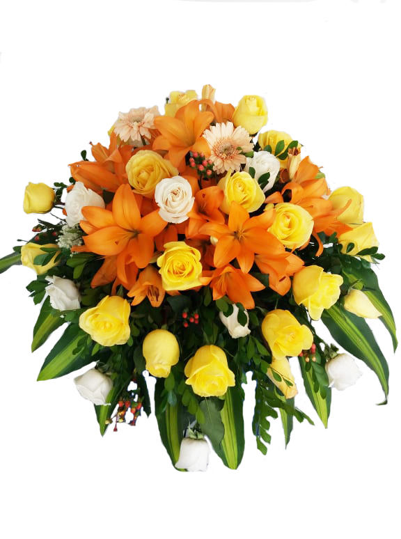 56970873_2305682756364986_5257496770140700672_n