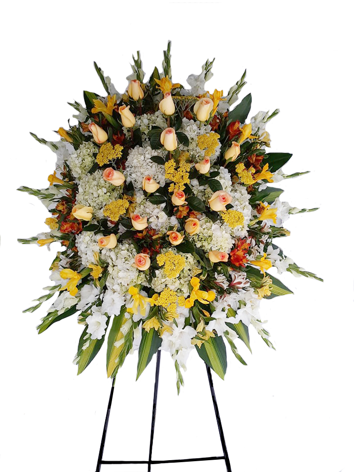 69280984_2279509885500494_3300714343007518720_n-1